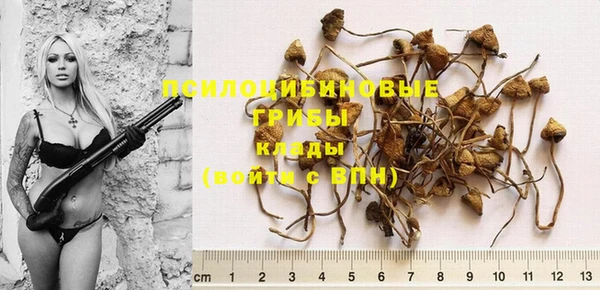 тгк Кулебаки