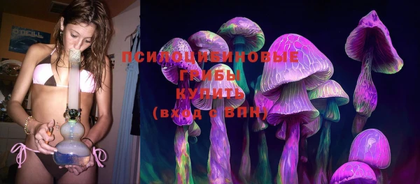тгк Кулебаки