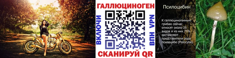 мега как зайти  Невьянск  Псилоцибиновые грибы ЛСД 